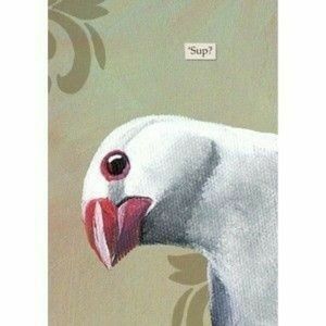 Meet your Posher, Priscilla